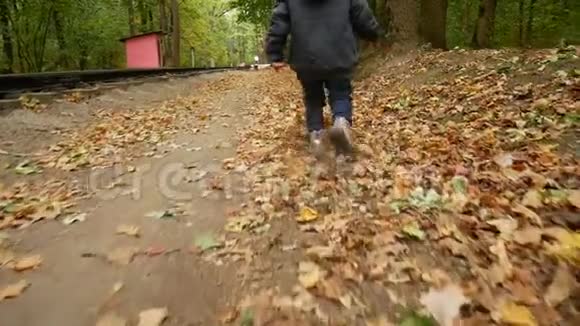 一个孩子走过秋天的森林女孩踢起黄叶视频的预览图