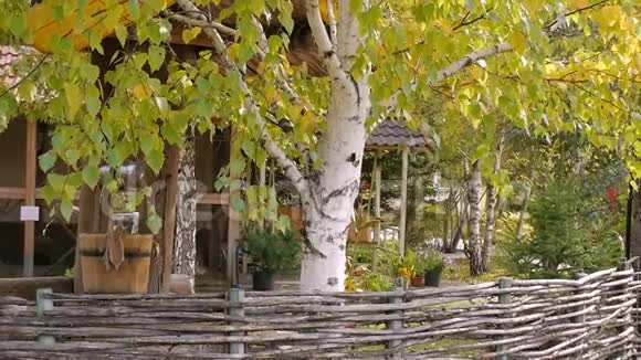 花园和桦树在乡间庭院的特写视频的预览图