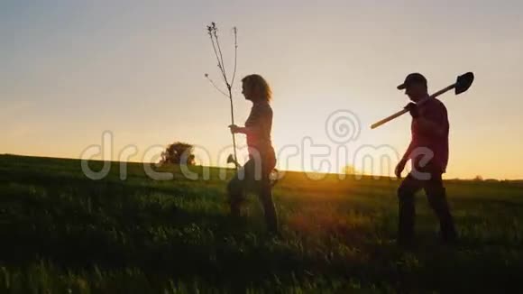 一对年轻的农民正沿着田野散步他们携带种植树木的设备关于视频的预览图