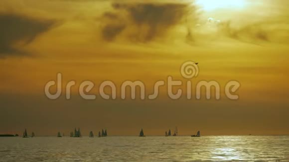 日落时有白帆的帆船日落时在海上航行游艇的美丽景色视频的预览图