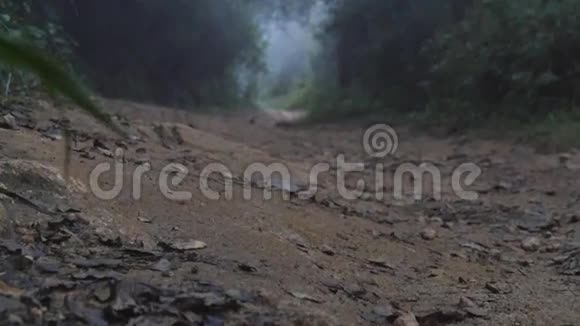 穿着雨衣的年轻人在旅途中在木路上慢跑徒步旅行者背着背包在热带潮湿的森林里奔跑男性视频的预览图