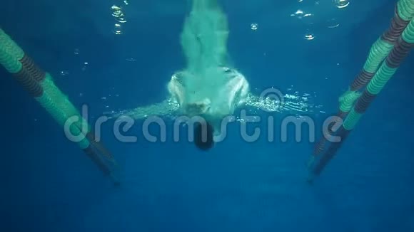 男性游泳运动员在水池中缓慢潜水男子游泳运动员跳进游泳池视频的预览图