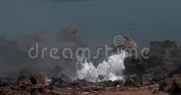 肯尼亚博格里亚湖温泉喷泉视频的预览图