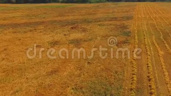 无人机飞过田野一排排收获的小麦和一捆干草视频的预览图