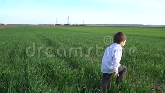 小男孩在绿色的春田里奔跑视频的预览图