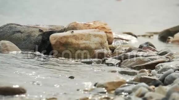 螃蟹坐在海滩上的石头上波浪翻滚视频的预览图