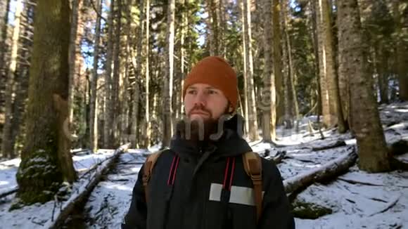 一个留胡子的年轻人背着背包站在针叶林中的画像视频的预览图