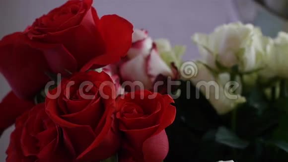 一束红白玫瑰视频的预览图