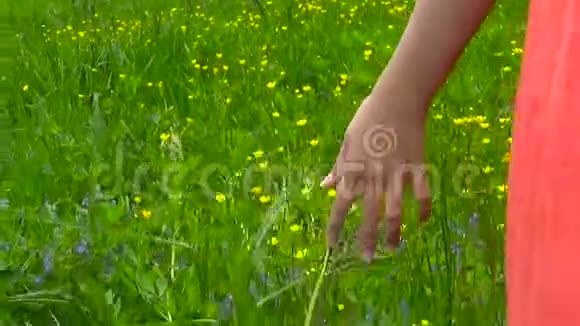 年轻女子手忙脚乱地跑过绿色的野草场触摸野花特写高清视频镜头拍摄视频的预览图