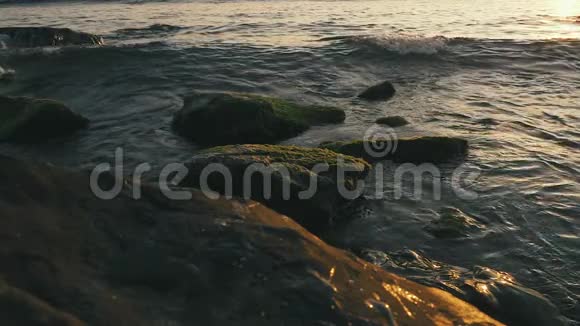海藻卷波中岩石的缓慢运动视频的预览图