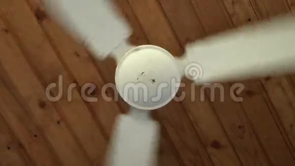 天花板上的空气风扇视频的预览图