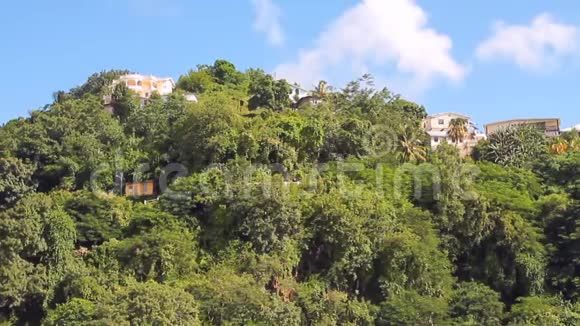 热带岛屿上的城市郊区圣文森特和格林纳丁斯金斯敦视频的预览图
