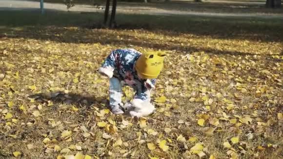 小孩子在秋天公园玩宝宝玩黄叶秋天公园户外的小女孩一幅肖像画视频的预览图