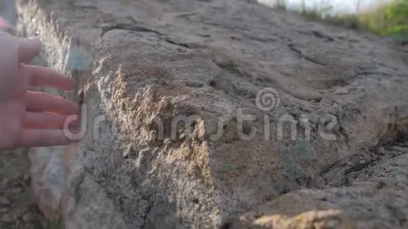 考古学概念人触摸手石花岗岩岩石阳光大自然狂野的生活方式古老的石头视频的预览图