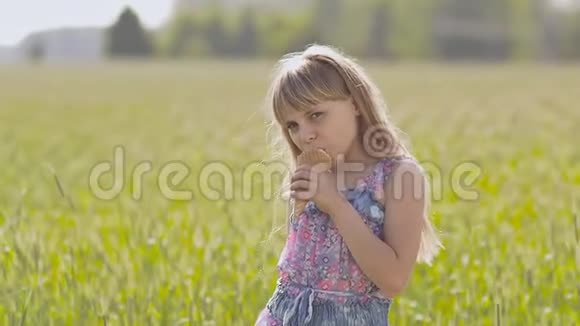 美丽的金发小女孩在麦田旁边吃冰淇淋温暖的晴天视频的预览图