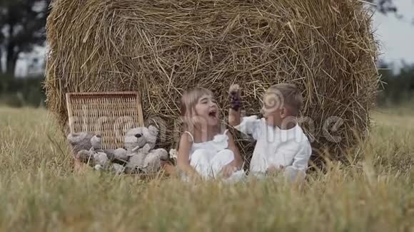 小男孩和一个女孩吃葡萄领域里快乐的孩子日落视频的预览图