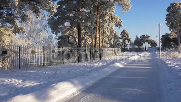 临冬路围墙边挂灯笼常青树被霜冻和雪覆盖着晴朗冬天的蓝天视频的预览图