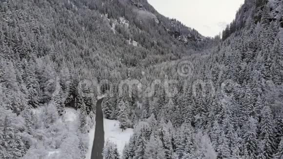 雪山和树木的无人机空中镜头股票视频视频的预览图