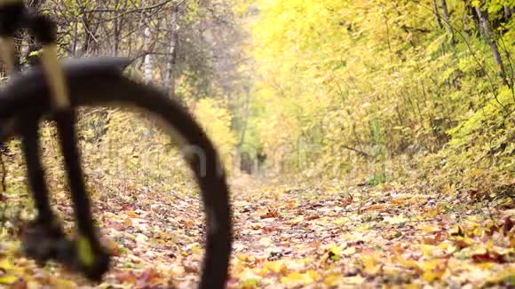 一个年轻的女人在秋天的森林里骑自行车视频的预览图