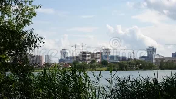 从灌丛中观看城市全景建筑物建在湖岸上视频的预览图