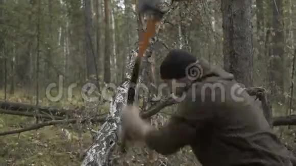 伐木工人拿着斧头在树林里行走选择树木视频的预览图