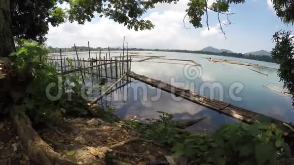 百合和竹鱼笼污染湖泊视频的预览图