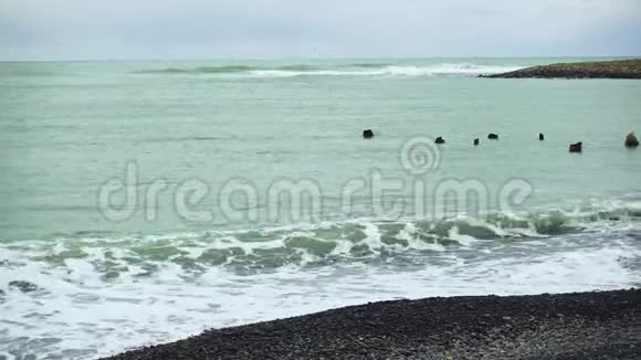 海浪卷向岸边远处有一群海鸥飞过海面视频的预览图