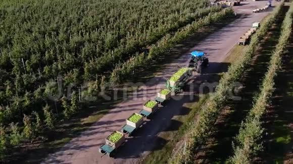 苹果园收获苹果拖拉机搬运装满青苹果的大木箱俯视图航空视频视频的预览图