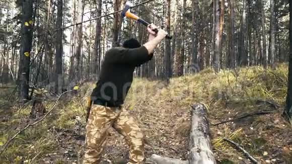 伐木工人拿着斧头在树林里行走选择树木视频的预览图