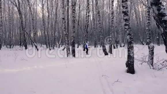女滑雪者在白桦林中穿过森林俄罗斯的冬天自然视频的预览图