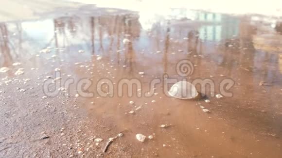 泥坑里的大泡泡特写镜头视频的预览图