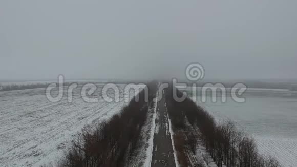 冬天有人在雾中飞过树道视频的预览图
