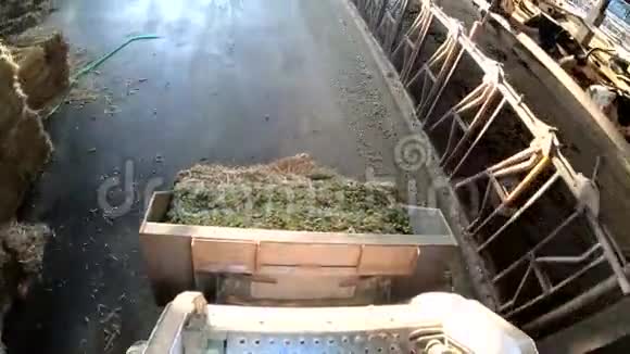 4K拖拉机带液压升降器用于运输干草和青贮饲料农民视频的预览图