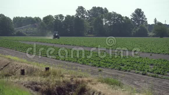 拖拉机在农场工作4KUHD视频的预览图