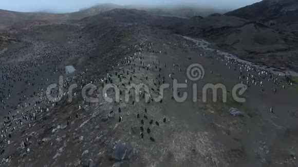 南极丘陵斜坡上的大量企鹅安德列夫视频的预览图