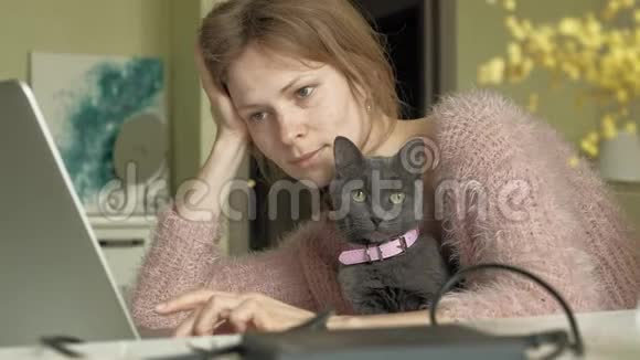 漂亮的女人带着小猫用笔记本电脑视频的预览图