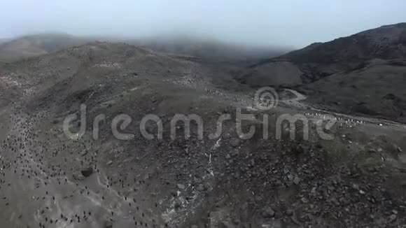 企鹅们站在一座小山和山坡上安德列夫视频的预览图