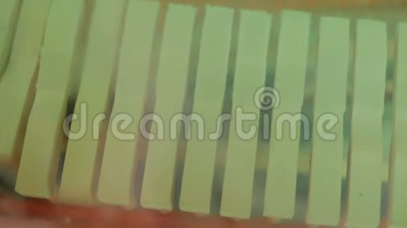 钢琴锤弹琴键的特写镜头视频的预览图