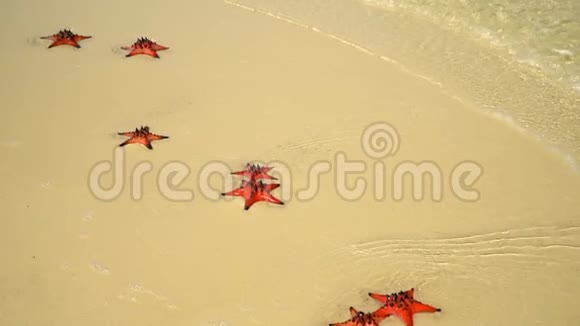 两个视频镜头摄像机慢慢地沿着海岸飞行白沙上大量红星白色的海滩视频的预览图