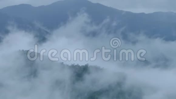雨季晨雾景观视频的预览图