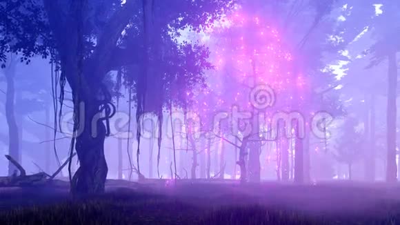 迷蒙夜空中的神奇树4K动画视频的预览图
