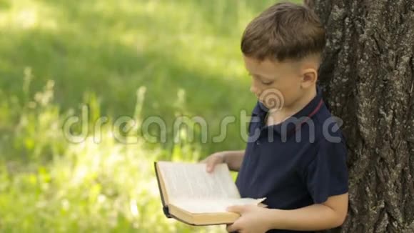 一个男孩正站在树旁看书视频的预览图