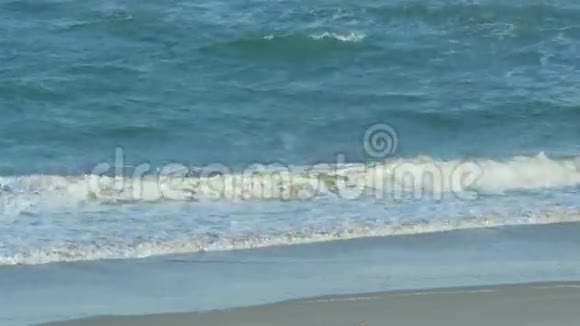 短波在海滩上撞击视频的预览图