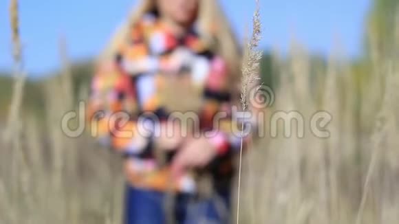 穿夹克的女孩穿过田野收集小穗视频的预览图