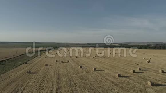 秋季从直升机上对农田进行空中勘测视频的预览图
