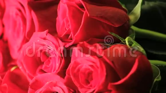 旋转的红玫瑰花束视频的预览图