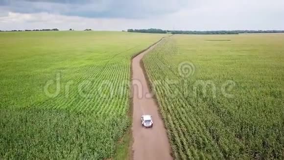 这辆车正在一条土路上穿过一片玉米地4k视频的预览图