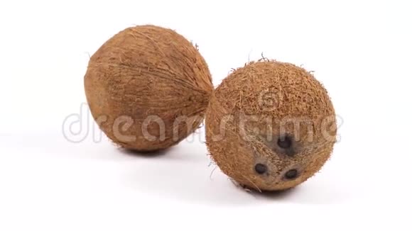 两个成熟的热带椰子在白色背景上旋转热带水果孤立的可循环的视频的预览图