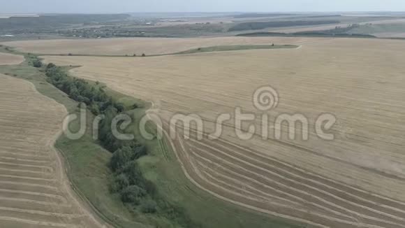 秋季从直升机上对农田进行空中勘测视频的预览图