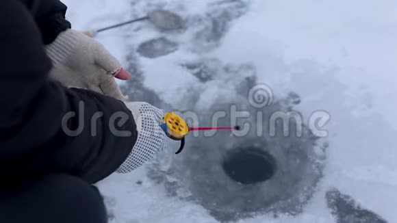 渔人手在冻江上的冻鱼竿上打鱼洞视频的预览图
